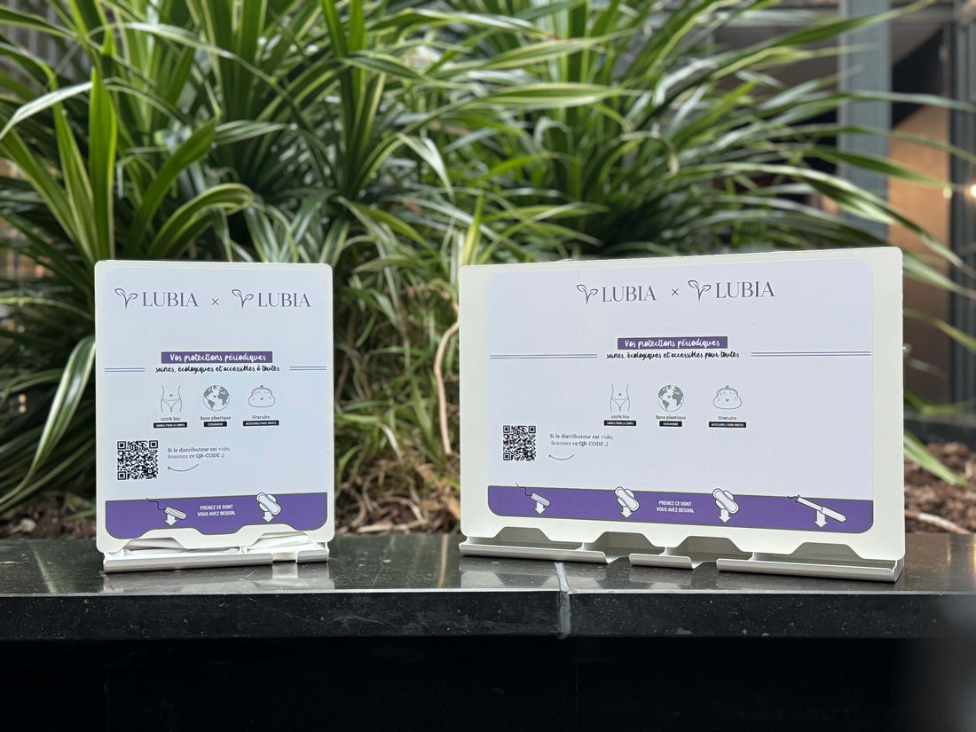 Choisir son distributeur de serviettes hygiéniques (Guide 2026)